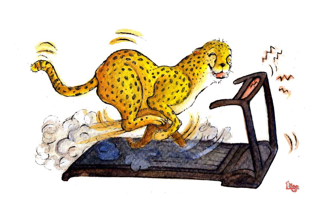 Cheetah exercising on a treadmill. Fun watercolour animal illustration by Divya George.