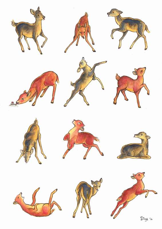 Deer in various poses. Fun animal pattern by Divya George.