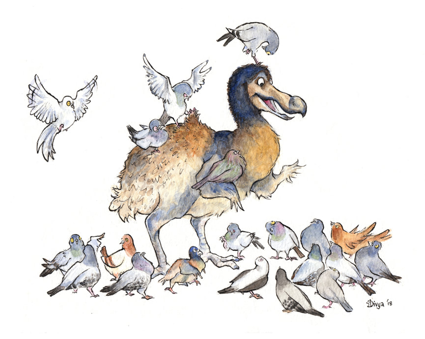 A group of pigeons meet a dodo, their long-lost relative. Fun bird illustration by Divya George.