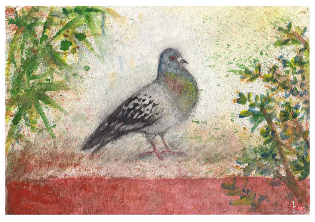 Watercolour Painting of a Pigeon. By Divya George.