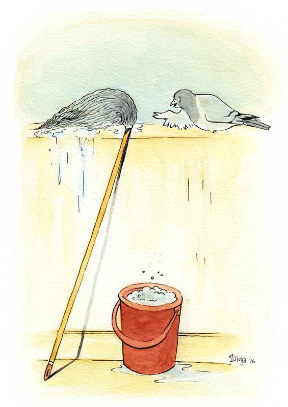 A pigeon thinks that a mop is another pigeon. Fun bird illustration by Divya George.