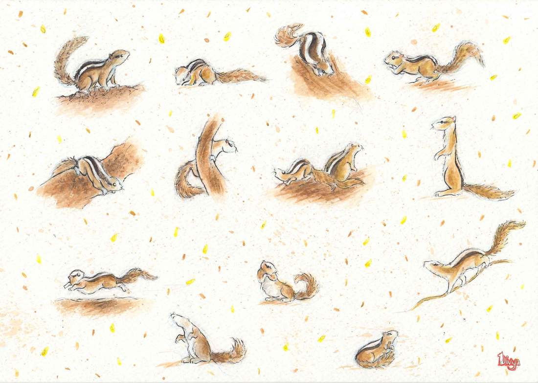 Squirrel pattern. Watercolour.