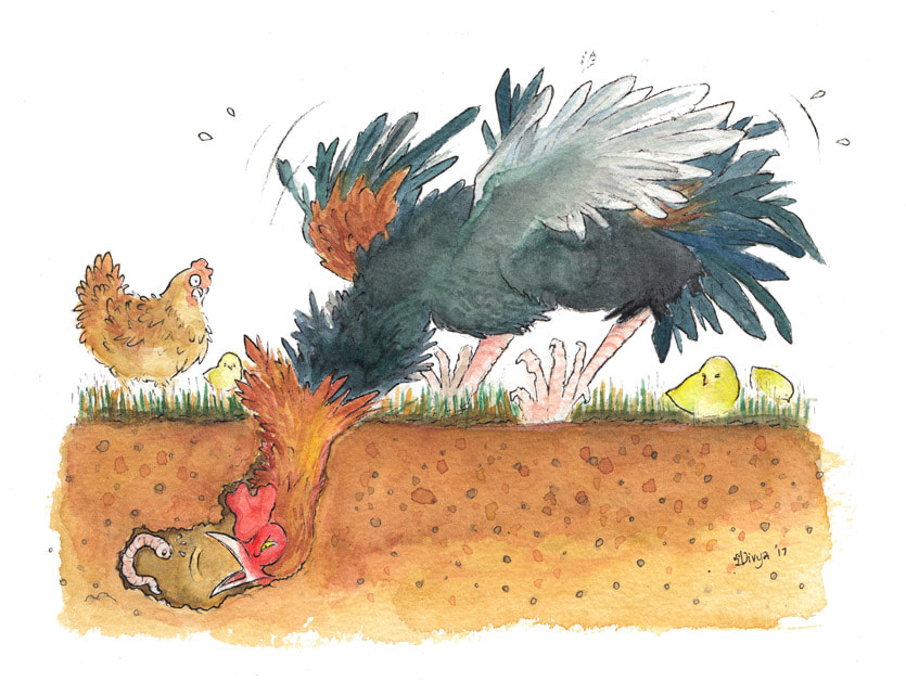 A Rooster tries to eat a Worm edged at the end of a hole in the ground while a hen and chick look on. Watercolour illustration by Divya George.
