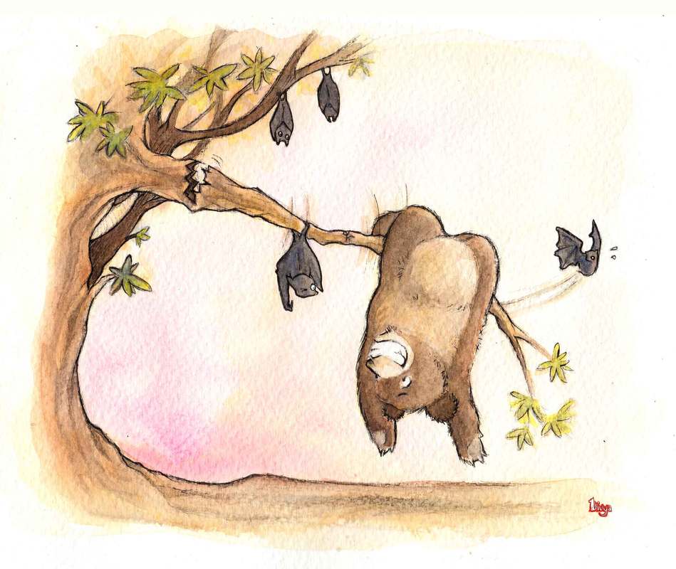 A Bear tries to hang upside down like a Bat but the branch starts breaking. Fun watercolour animal illustration by Divya George.