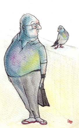 A Man who looks like a Pigeon. Fun animal watercolour Illustration by Divya George.