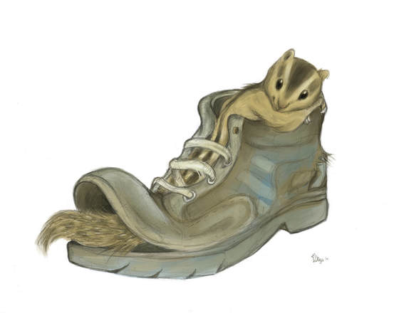 A digital illustration of a palm squirrel in a shoe by Divya George.