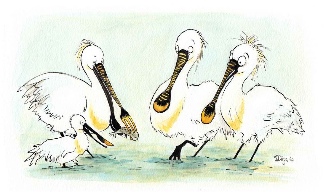 Two spoonbills are surprised to see birds with knives and forks as beaks. Fun animal illustration by Divya George.