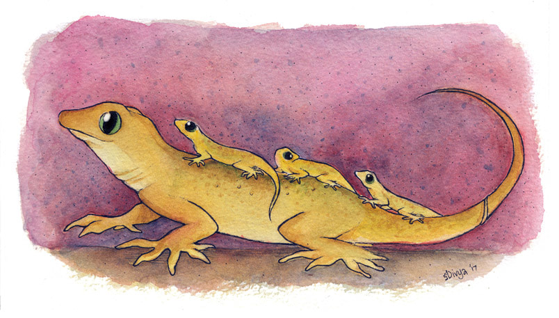 Three little house lizards ride on the back of a big lizard. Watercolour illustration by Divya George.