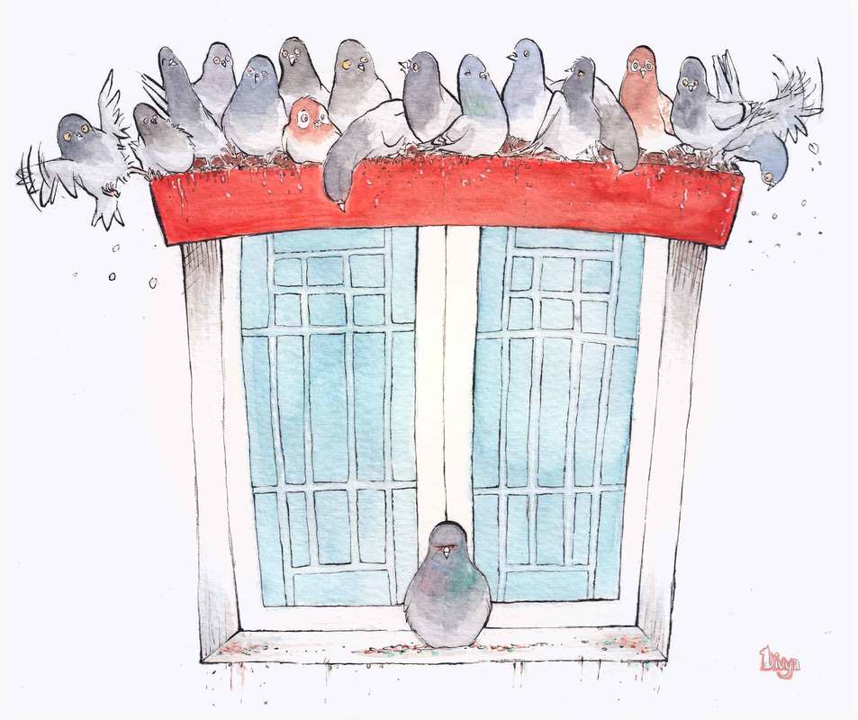 One Pigeon takes up all the space at the window while the rest of the pigeons struggle. Fun watercolour bird illustration by Divya George.