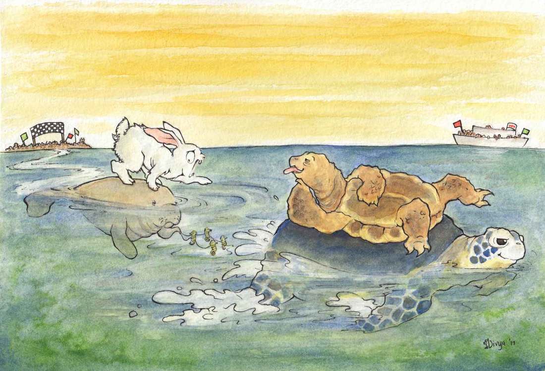 Hare and Tortoise racing each other on the ocean. Tortoise is riding on a turtle and winning the race but the hare is riding a very slow manatee being pulled by seahorses. Watercolour illustration by Divya George.