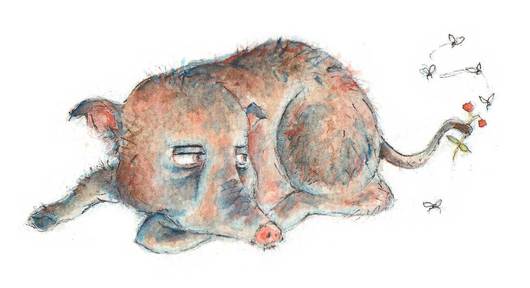 A bored boar. Watercolour illustration