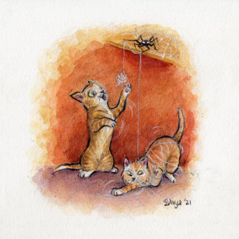 Two cats playing with a spider's web