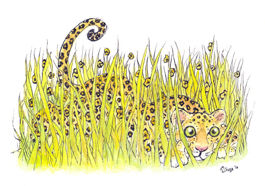 Leopard hiding in the grass. Animal illustration by Divya George.