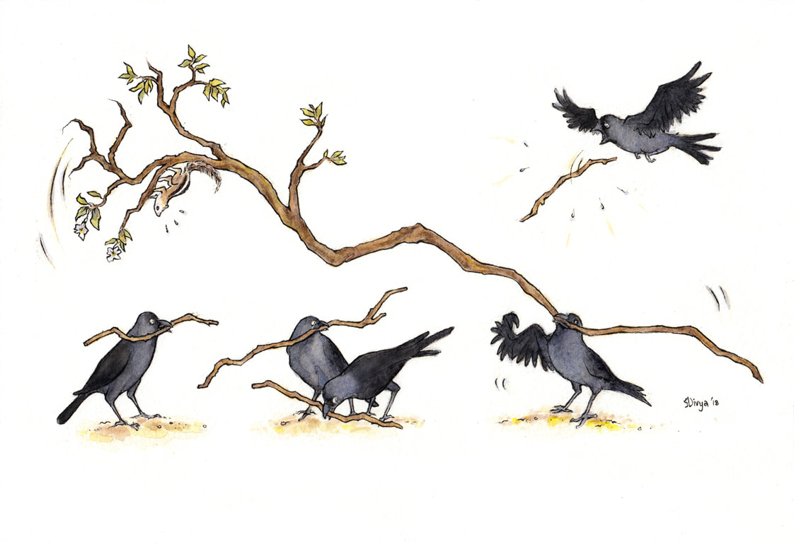 A strong crow lifts a large branch. Fun bird illustration by Divya George.