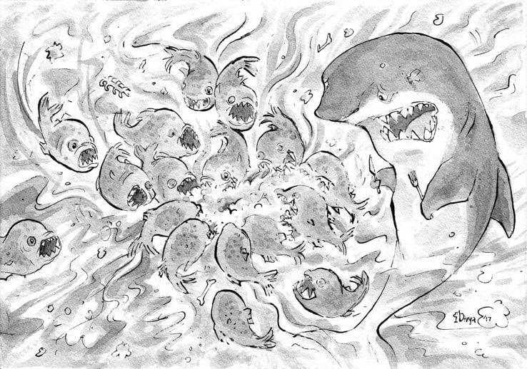 Shark is upset as piranhas rapidly gobble up its meal. Ink illustration by Divya George.