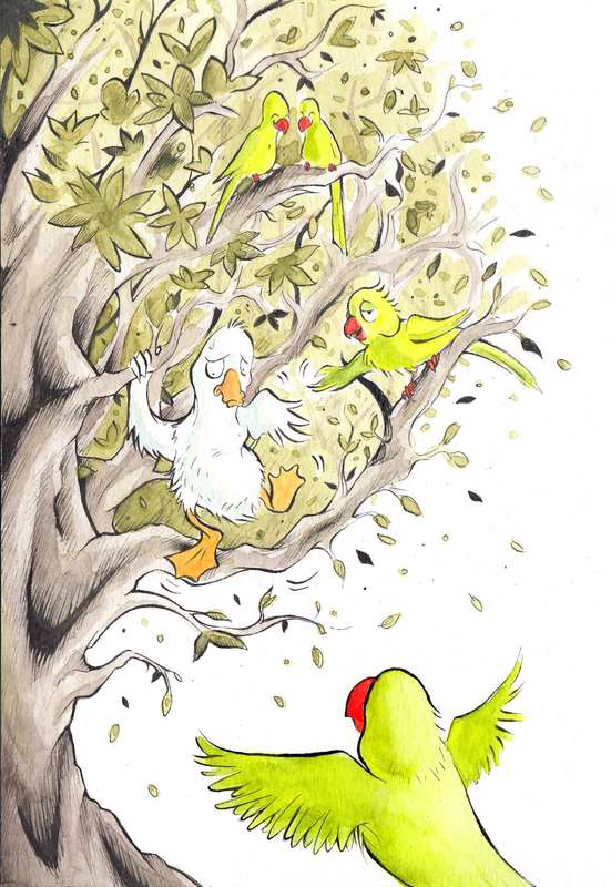 A Parrot teaches a Duck how to climb a tree. Fun watercolour animal illustration by Divya George.