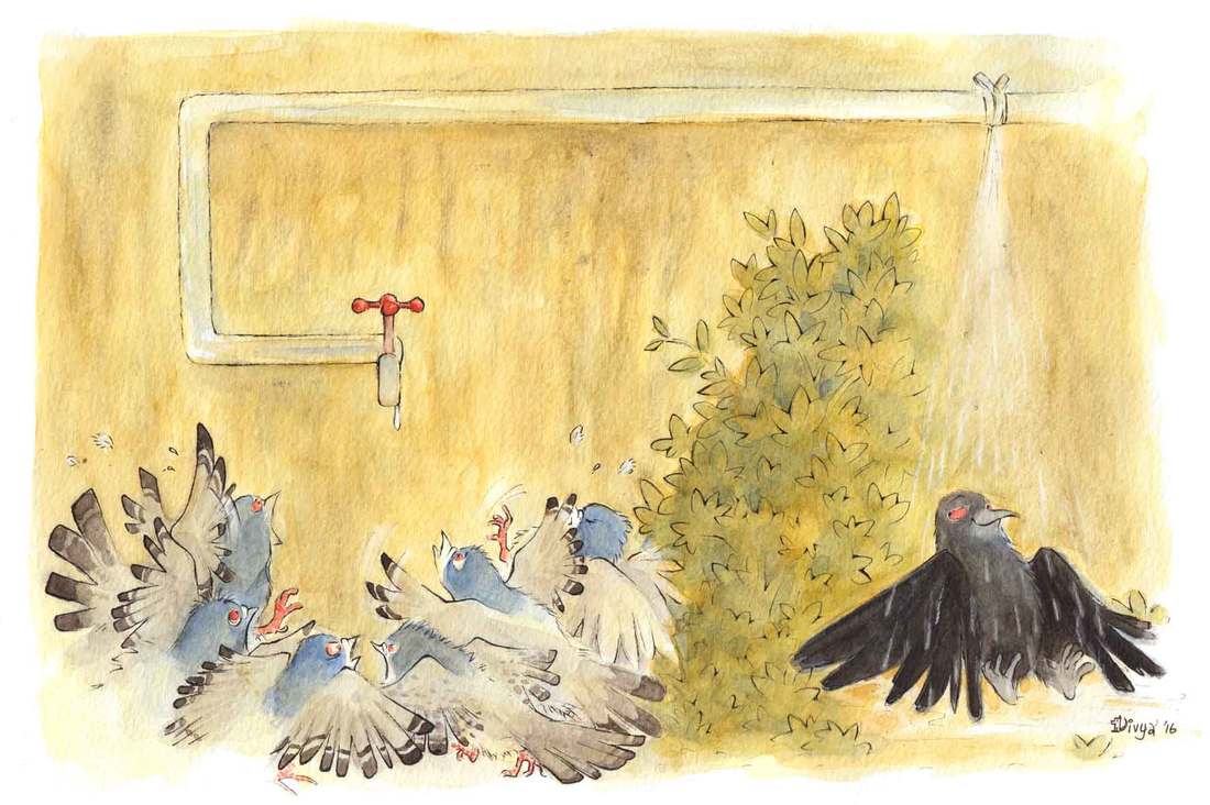 Pigeons are fighting for water while a crow enjoys a shower under the leaky pipe. Fun animal illustration by Divya George.