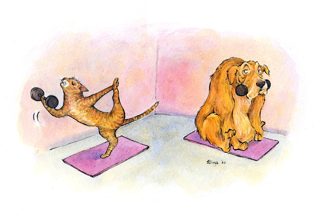 Illustration of Dog and Cat Working Out